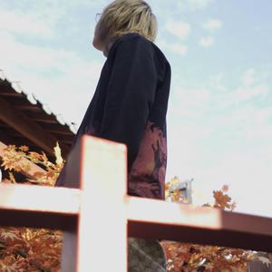 AI换脸李一桐上床无码视频
