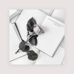 AI换脸李一桐上床无码视频
